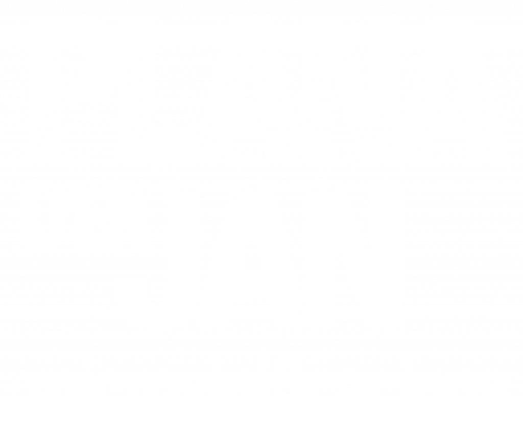 logo plana d'en jan blanc