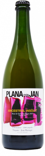 ancestral plana d'en jan